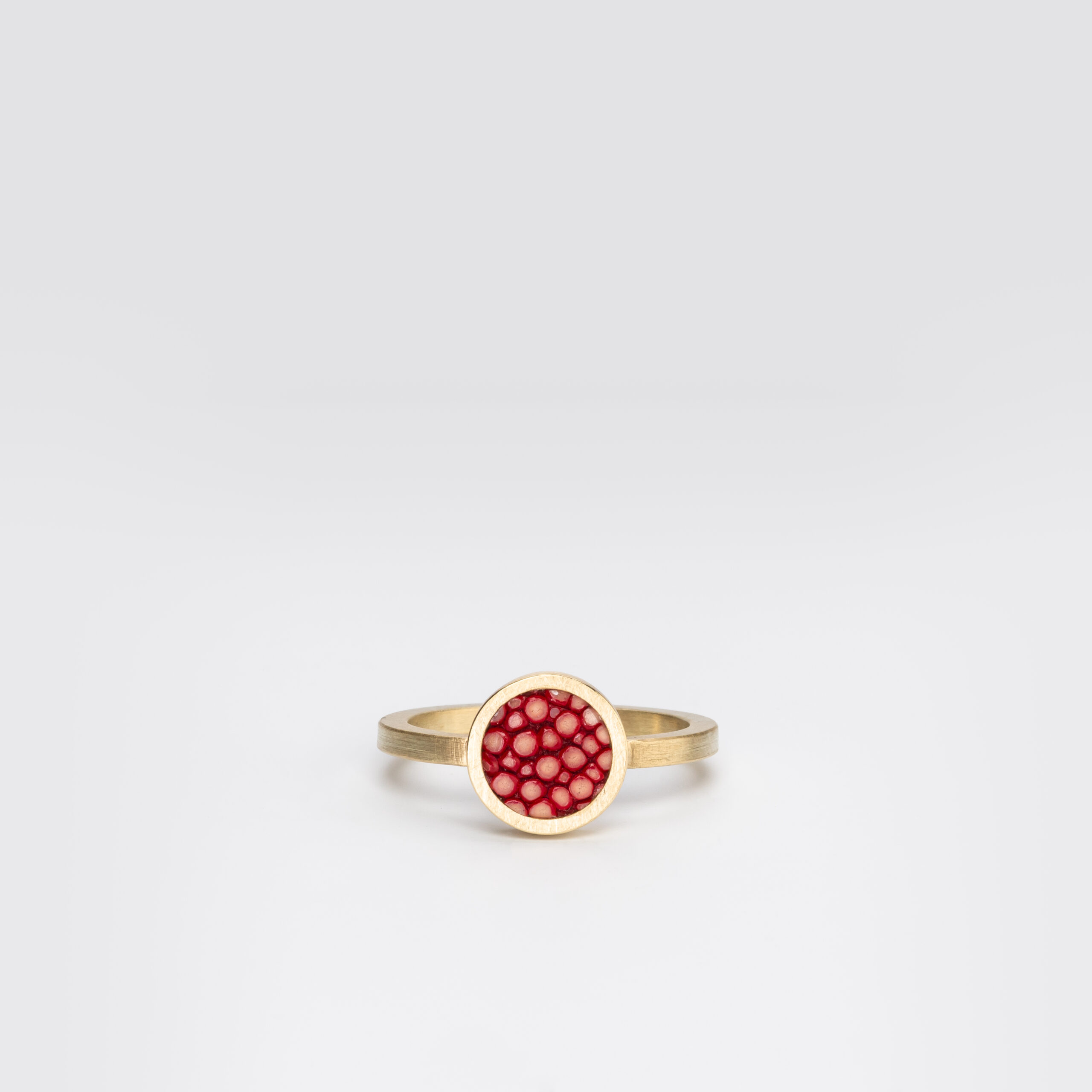 Ring DOT II