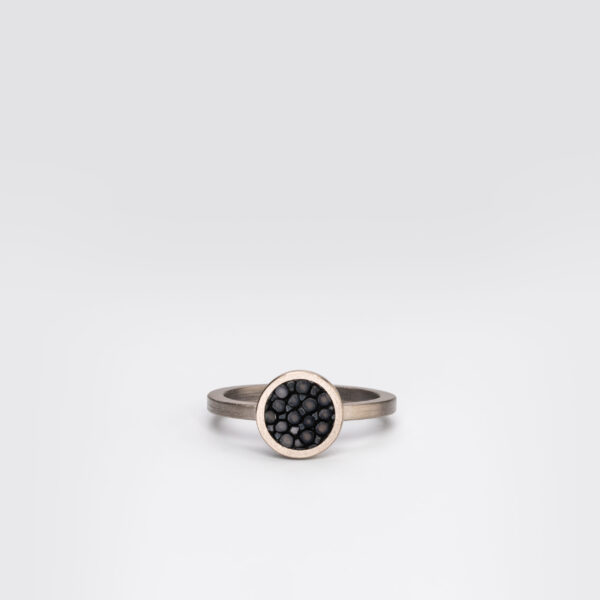 Ring DOT II
