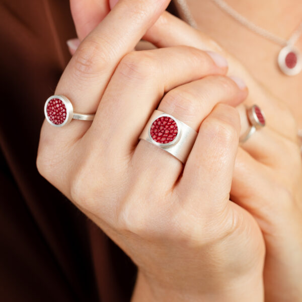 Ring DOT II