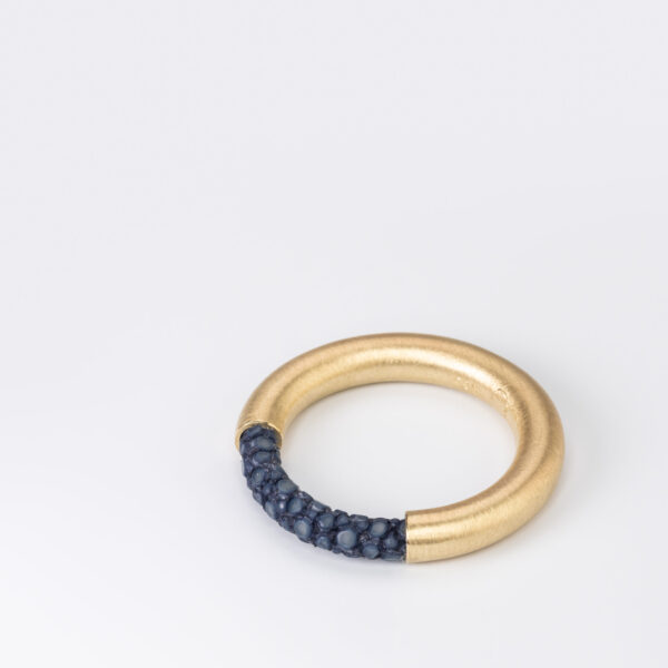 Ring WIRE