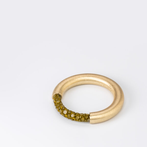 Ring WIRE