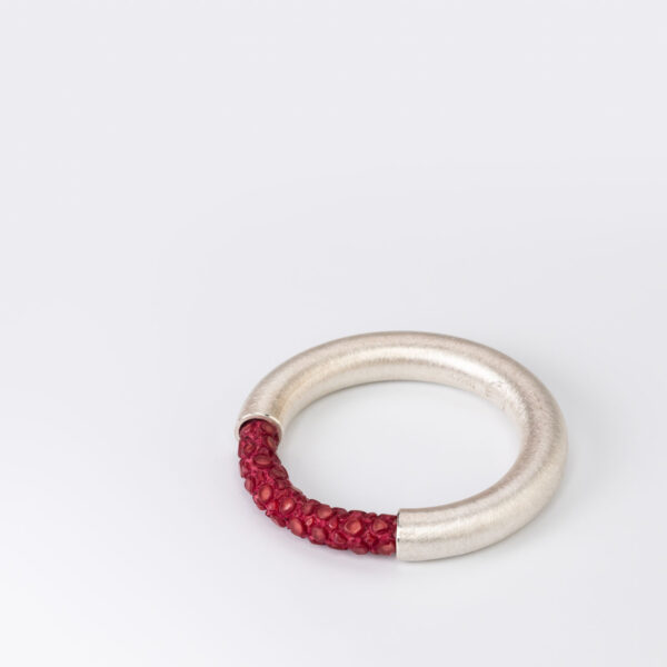 Ring WIRE